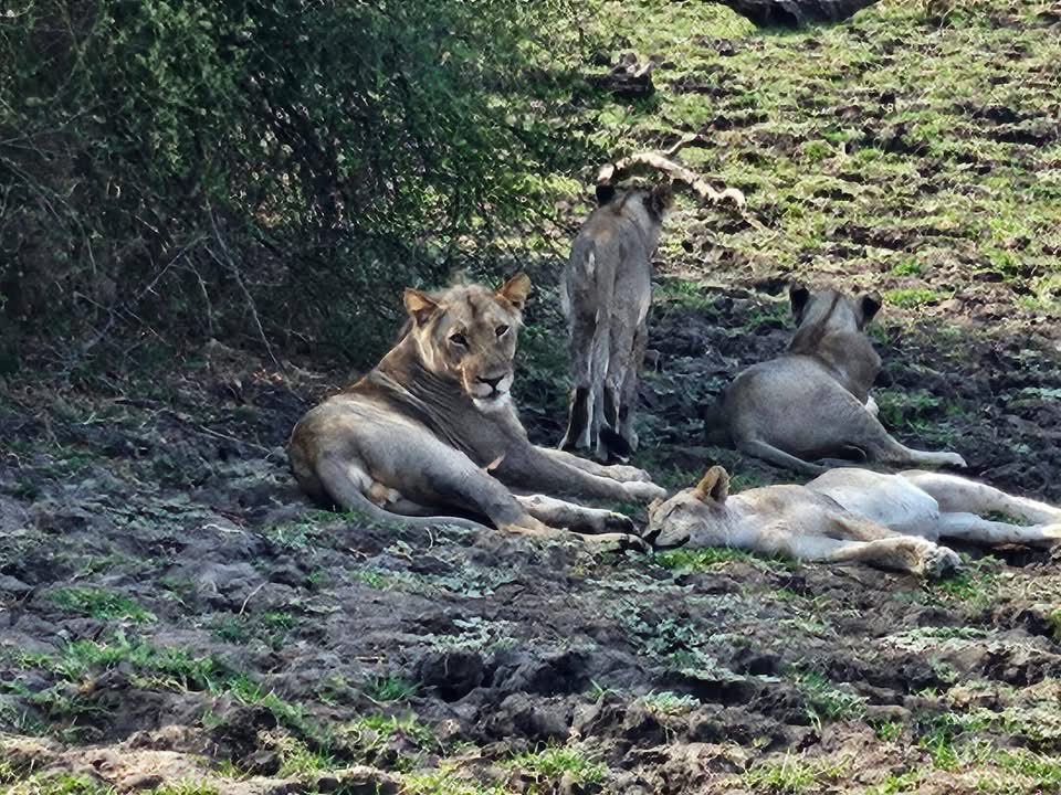 Best of Malawi