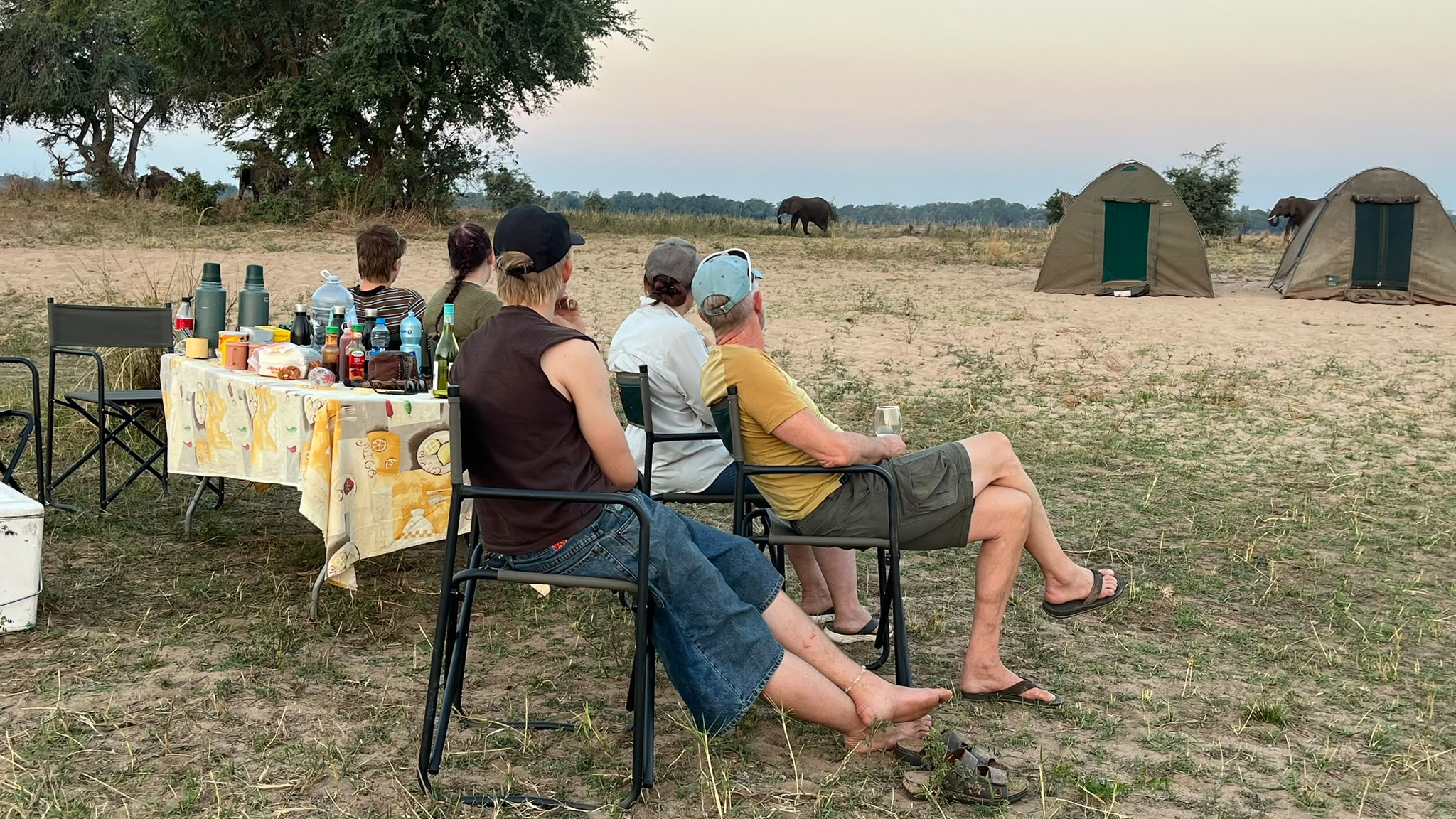 Safari lodge room