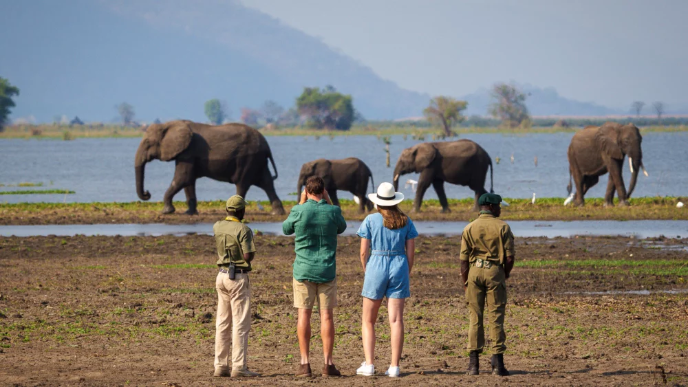 Malawi adventure