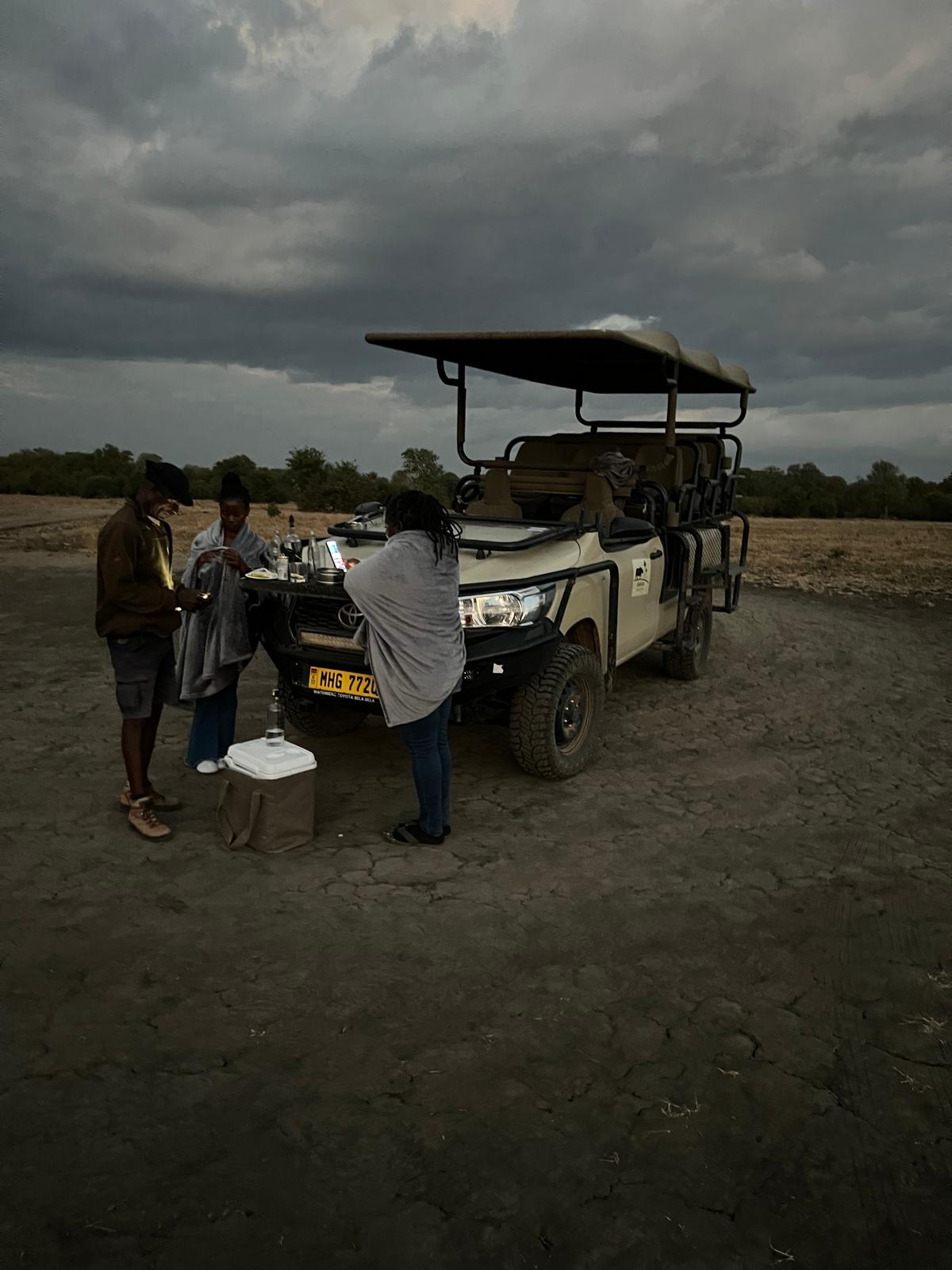 Wildlife Safari