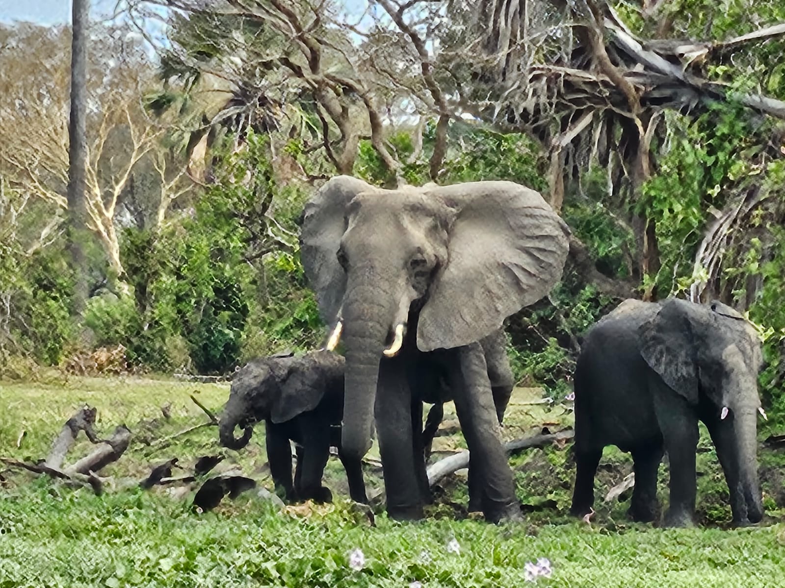 Malawi & Zambia